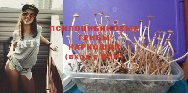 экстази Вяземский