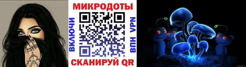 кракен ссылки  Ефремов  Псилоцибиновые грибы Psilocybe 